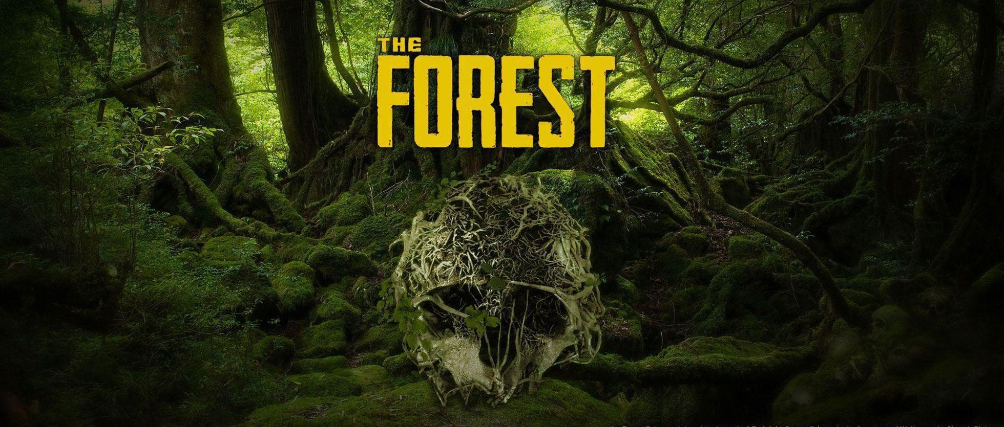The Forest